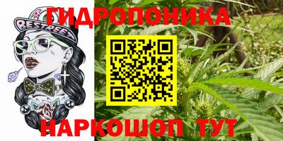 ешки Мариинск