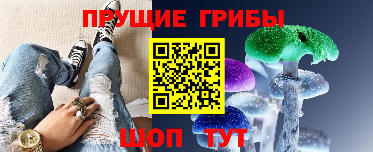 Чехов  Галлюциногенные грибы Cubensis  Галлюциногенные грибы Psilocybe  Вход с VPN 